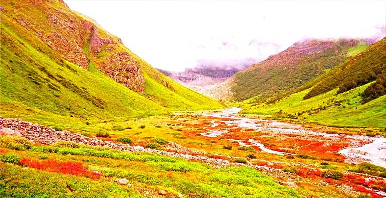 Valley Of Flowers