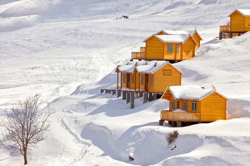 Auli Tour Packages